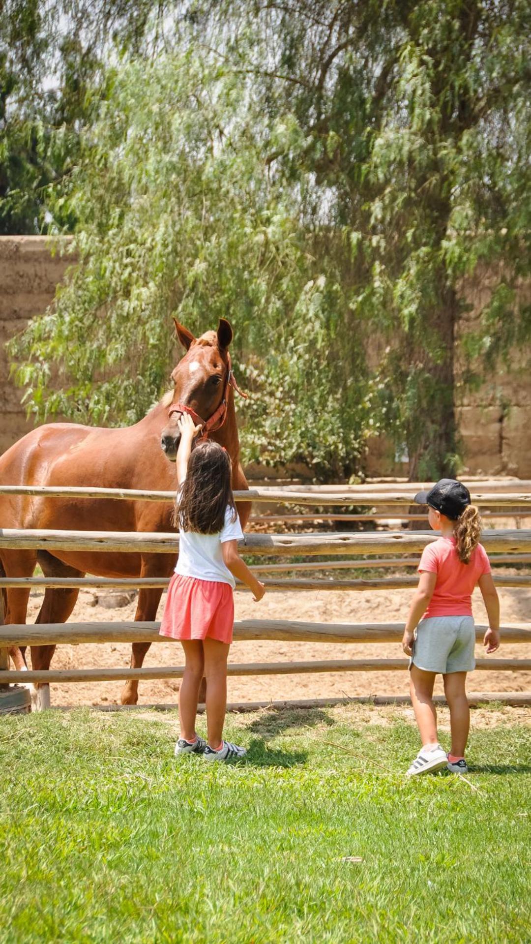 מלון צ'ינצ'ה אלטה Casa Hacienda San Jose מראה חיצוני תמונה