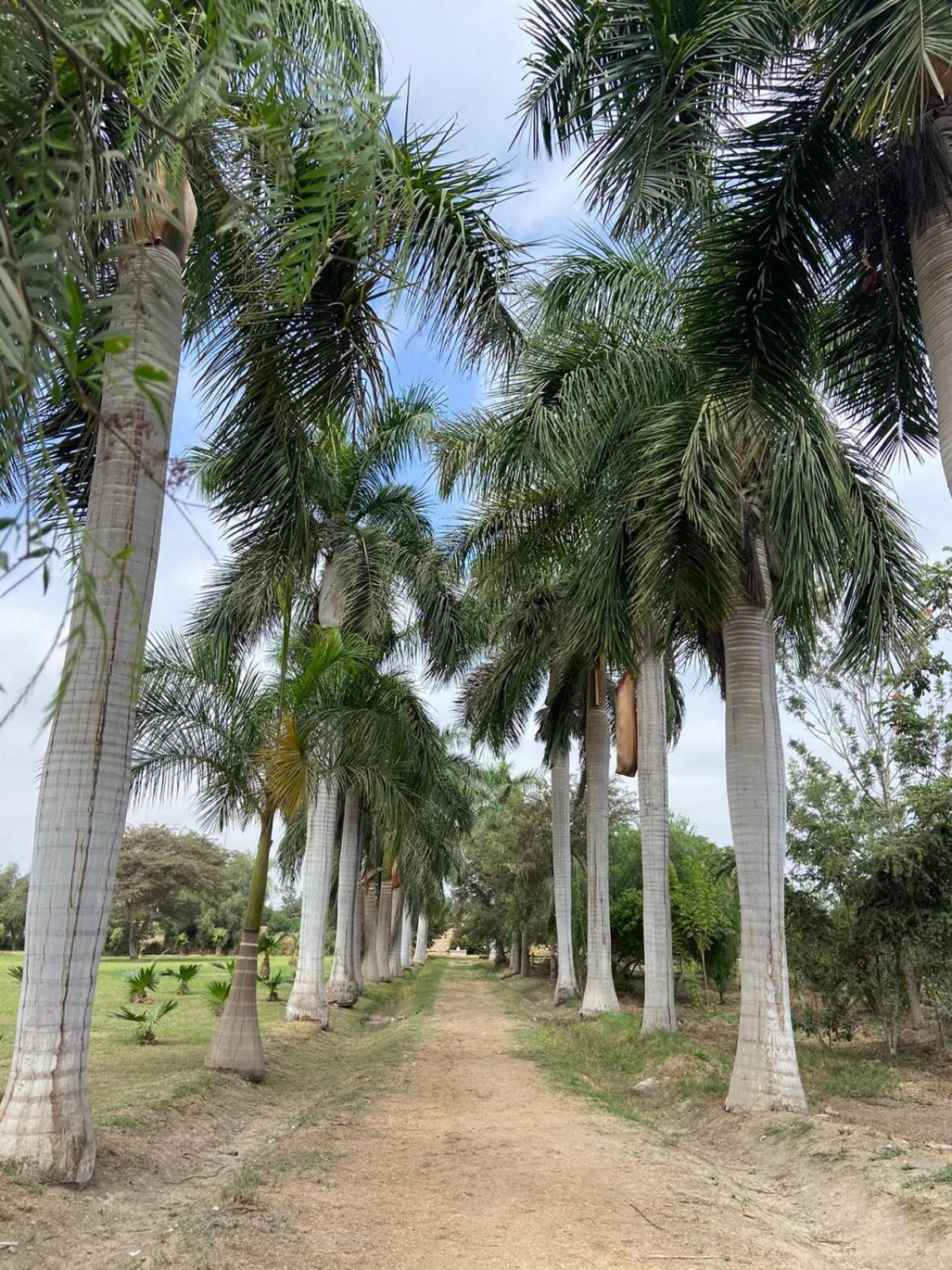 מלון צ'ינצ'ה אלטה Casa Hacienda San Jose מראה חיצוני תמונה