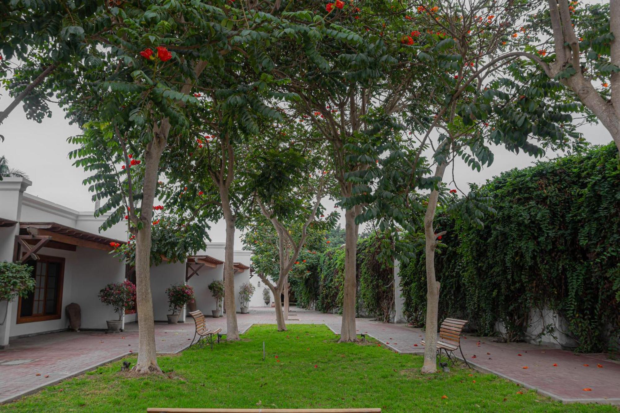 מלון צ'ינצ'ה אלטה Casa Hacienda San Jose מראה חיצוני תמונה